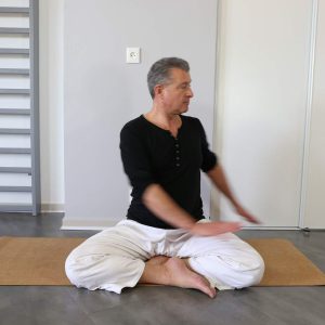 Le yoga postural