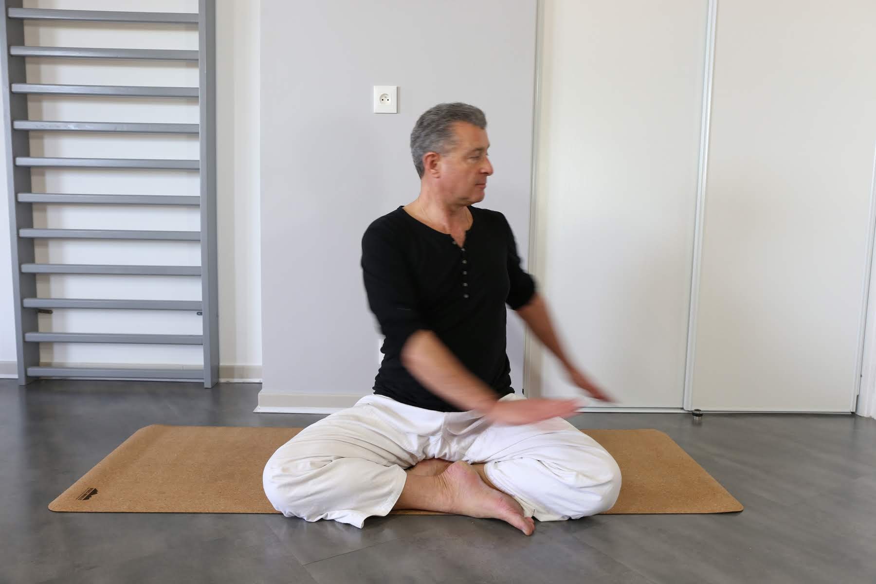 Le yoga postural